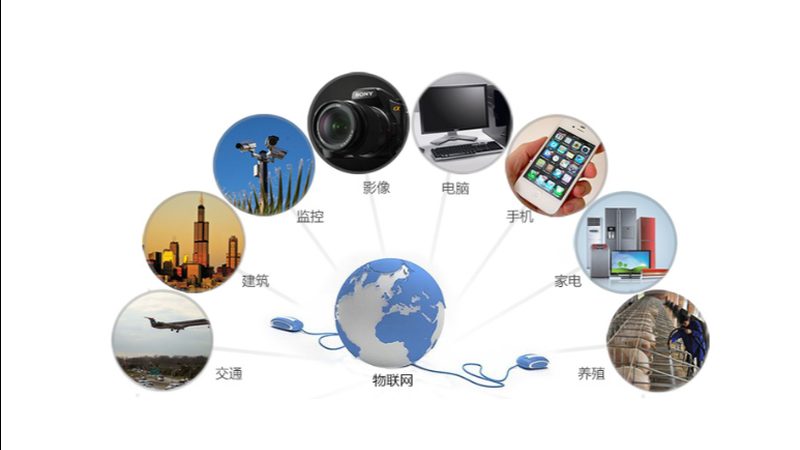 智能终端选型：从协议栈到应用场景的深度解析